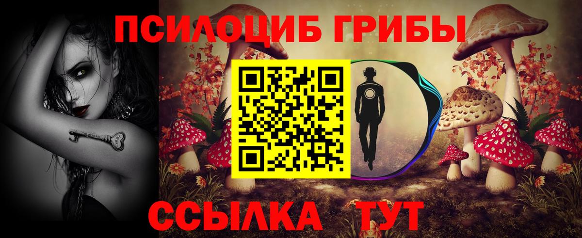 Галлюциногенные грибы Psilocybine cubensis  Псилоцибиновые грибы Magic Shrooms  Вход с VPN  как найти   Ковров 